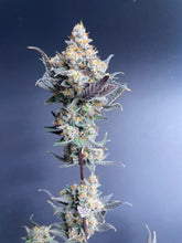 Load image into Gallery viewer, Banana Cream Pop Flower