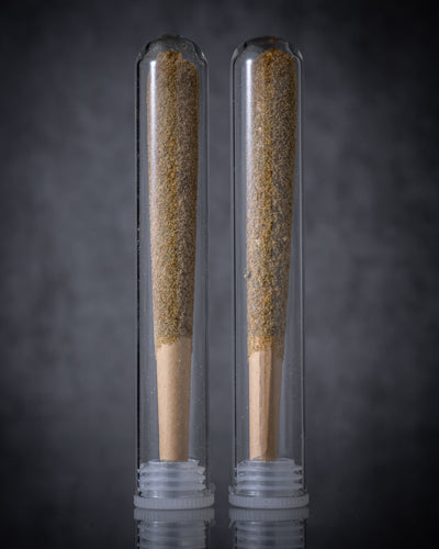 Moonstick